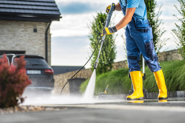 Best Roof Cleaning and Mildew Removal in Carrizo Hill, TX